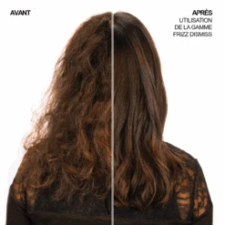 Masque Anti-Frisottis Frizz Dismiss Redken 250ml -Coupe Élégance Soldes Boutique 3474636961030 2 1 09650.1694783020