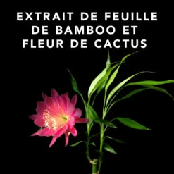 Volupt Spray Sebastian 150ml -Coupe Élégance Soldes Boutique 52361 4 35228.1688735230