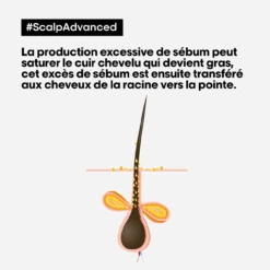 Shampooing Dermo-Purifiant Anti Gras Scalp Advanced L'Oréal 500ml -Coupe Élégance Soldes Boutique scalp advanced anti gras se bum 13592.1684847787
